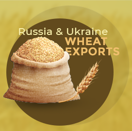 俄罗斯和乌克兰出口数据