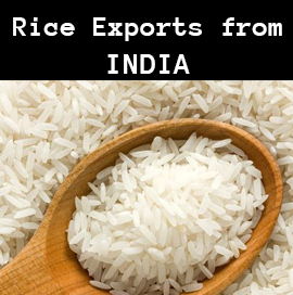 India Exports Rice