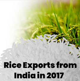 Rice Exports Data