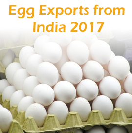 Egg Export India