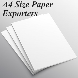 Paper Export Report