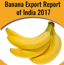 Banana Export Infographic