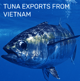 Vietnam Tuna Exports