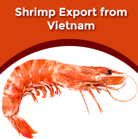 Vietnam Shrimp Export