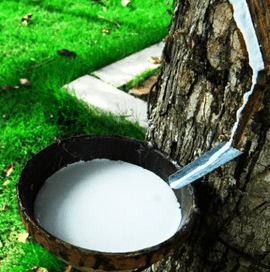 Natural Rubber Export from Vietnam