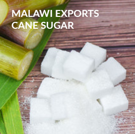 Malawi Export Data
