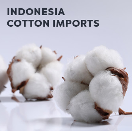 Indonesia Import Data