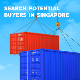 Singapore Import Data