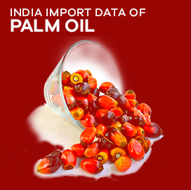 India Import Data