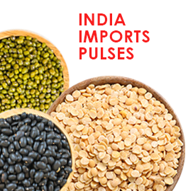 India Import Data
