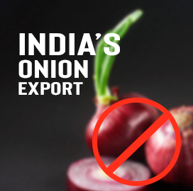 India Onion Exports