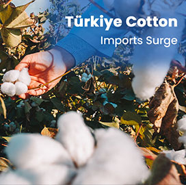 Türkiye Import Data