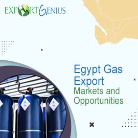 Egypt Export Data
