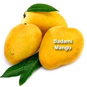 Badami Mango