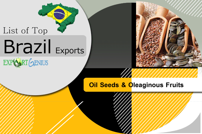 Top Brazil Exports