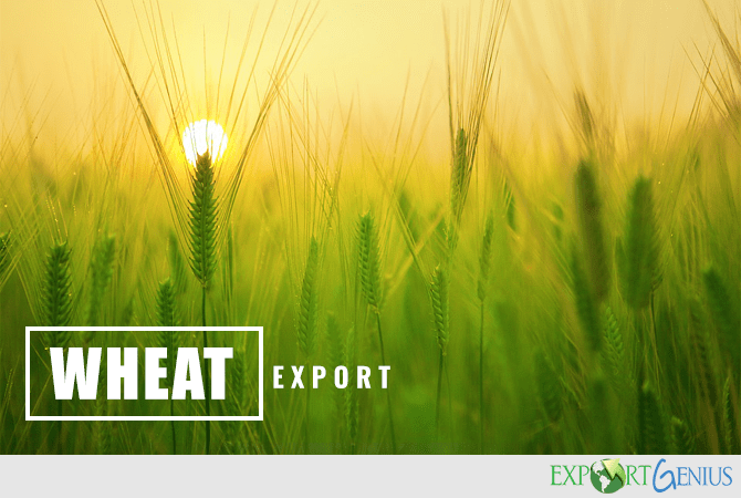 Wheat Exports from Kazakhstan