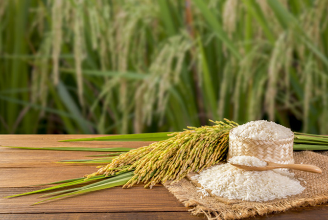 Import clearance of rice