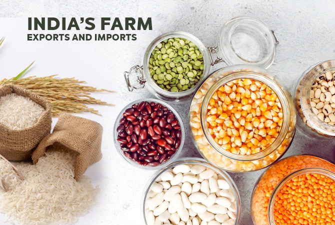 India Import Export Data