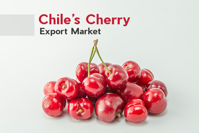 Chile Export Data