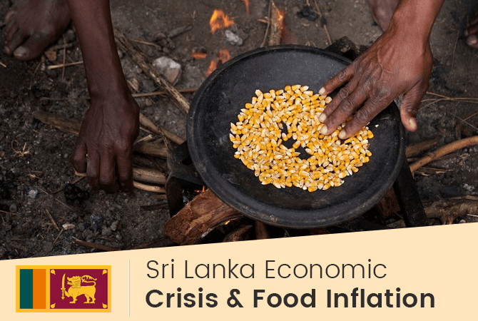 Sri Lanka Import Data